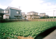 銚子市犬吠崎・売地画像その1