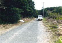 銚子市犬吠埼・売地画像その2